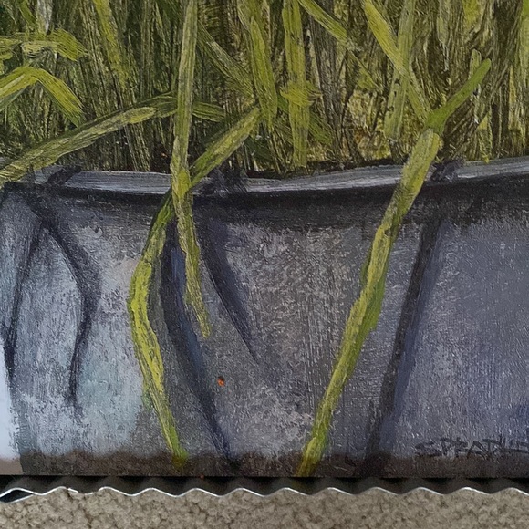 Flag Fables Daffodil - Picture 3 of 5